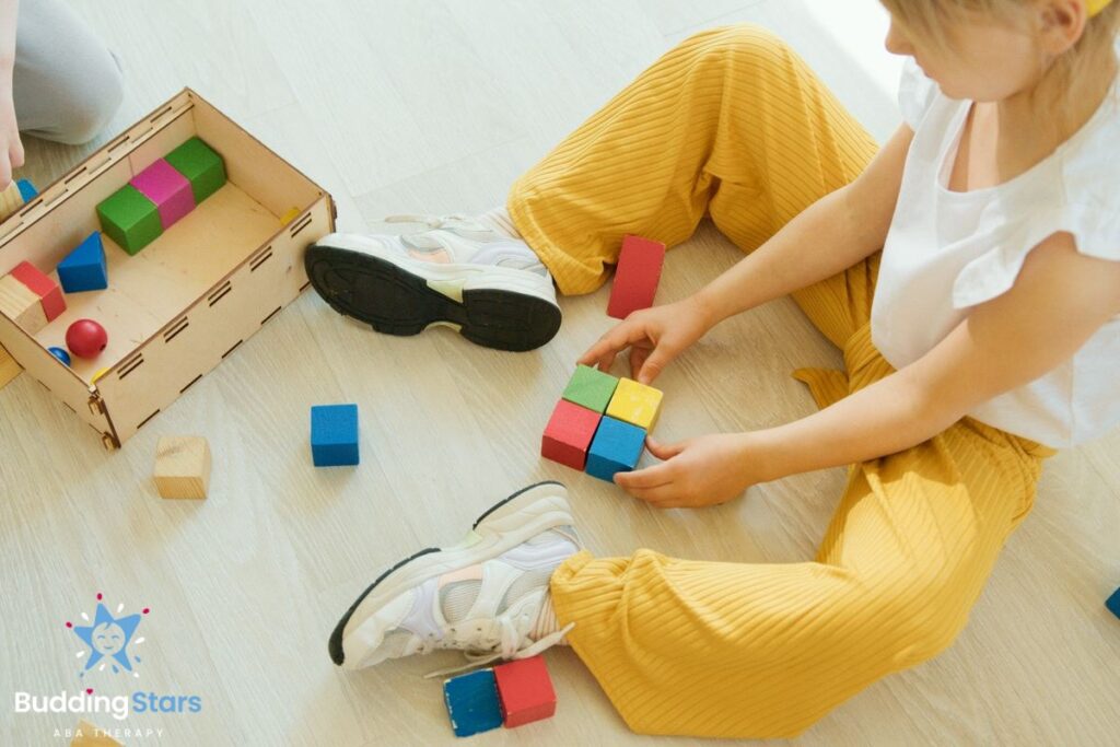 ABA Assessment in Virginia
